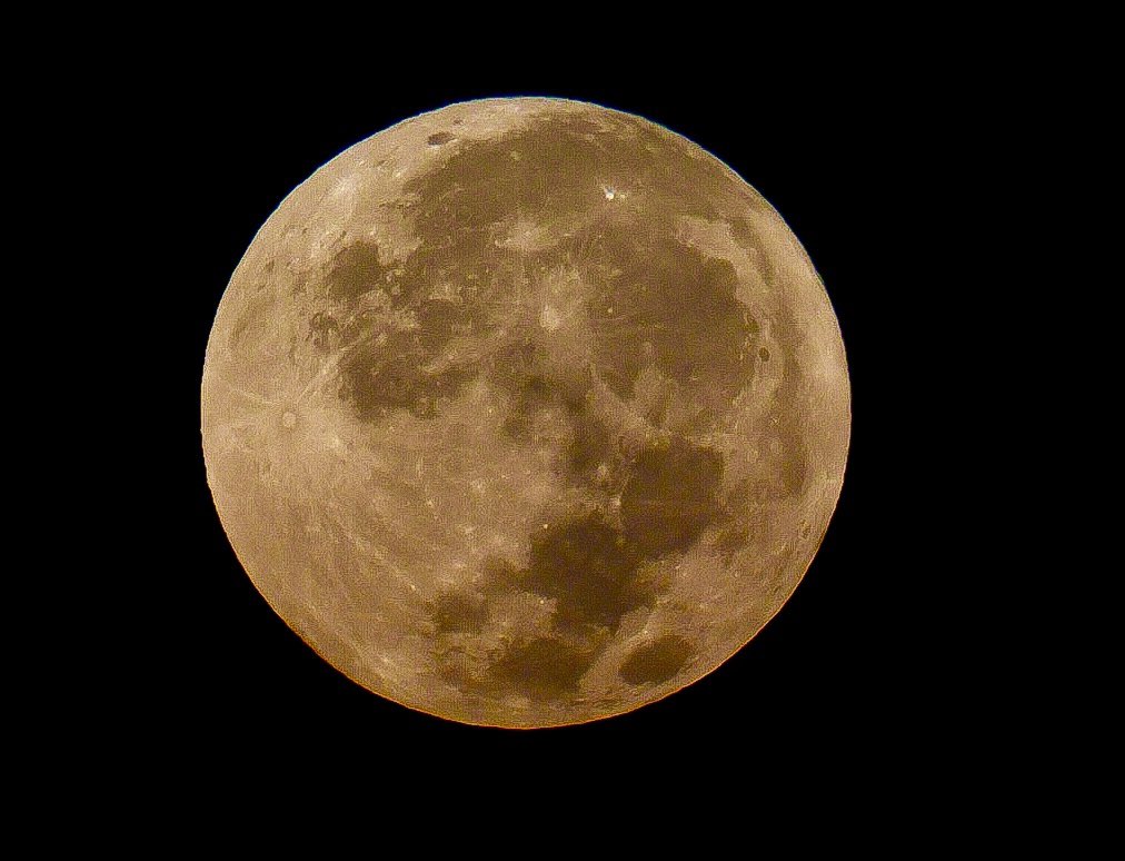 lizz_gomez's tweet photo. 🌕 La Luna del Ciervo iluminó el cielo de Puebla

✍️ Sintaxis Digital
📸 Roger Calzada

La madrugada de este 29 de julio nos regaló uno de los espectáculos astronómicos más esperados del verano: la Luna Llena del Ciervo, un fenómeno celeste que, además de su belleza, simboliza crecimiento, fortaleza y renovación.

Su nombre proviene de las tradiciones de los pueblos originarios de Norteamérica, quienes observaron que durante esta época del año los ciervos machos desarrollan una nueva cornamenta, convirtiéndola en un símbolo del ciclo constante de la naturaleza.

Desde Puebla, el cielo ofreció una vista privilegiada. Su tono dorado, visible mientras ascendía sobre el horizonte.

🪶 Reflexión Sintaxis Digital

A veces basta con salir unos minutos, guardar silencio y permitir que el cielo nos deleite con la inmensidad del universo.

#LunaDelCiervo #Puebla #Astronomía #Naturaleza #SintaxisDigital