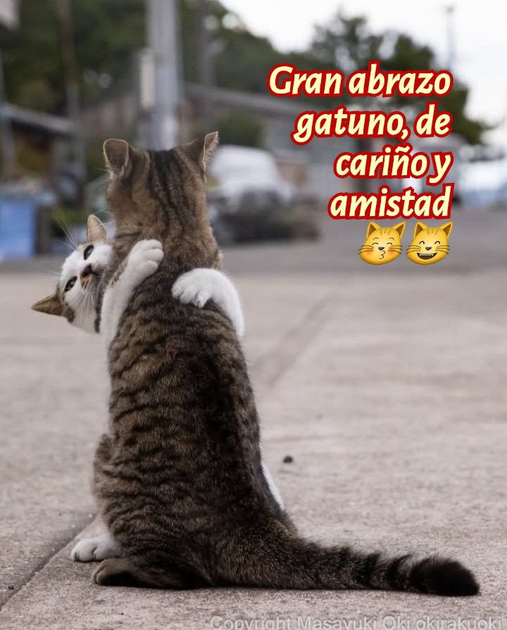 Eugenio Diaz tweet media