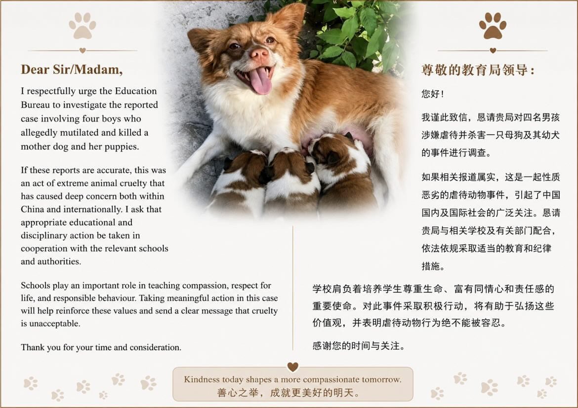 Chez_Em's tweet photo. @feilung_lau It's so easy. 

Copy &amp; Paste: 

Just 5 mins of your time. 

If you're really 💔&amp; want #justiceforwangwang 

Find prepped Mandarin emails with English instructions on how &amp; who to send the emails

Right HERE:

https://t.co/kKh2TtM6wy…

Use pics of Wang Wang. 
See example of email https://t.co/REo5FYHvx8
