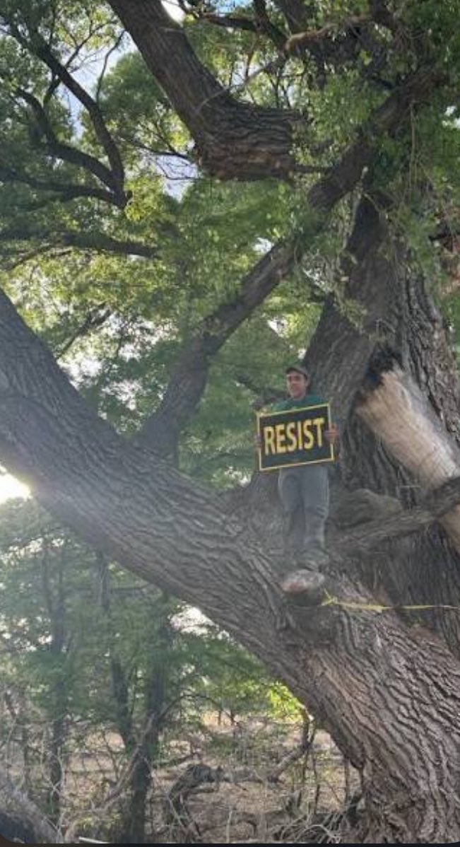 StoriesBySammi's tweet photo. Border Patrol bulldozed three century-old cottonwood trees on the US-Mexico border this week.

Nesting birds were still inside them.

Before touching a single tree, Border Patrol put a promise in writing. Environmental monitors would check the trees first. Any active nests they found would get a protected buffer zone, left alone until the babies were old enough to leave on their own.

The Sierra Club didn't just take their word for it. They sent Border Patrol actual video, proof that birds were nesting in those exact trees, weeks before construction started.

Border Patrol never even responded.

Then the promise meant nothing anyway. No monitors showed up. No buffer zone was set. Crews brought in heavy machinery and took the trees down with the nests still in them.

The same trees that hold nesting birds every single spring.

The same trees whose roots cross the border underground and lean on each other for support, one country's tree holding up another's.

The same trees that shelter antelope, bighorn sheep, and one of the last jaguars left in the US, all of whom use this valley to cross between countries too.

The same trees standing in Lochiel, a ghost town that hasn't had a working border crossing since the 1980s, disturbed by almost nothing until this week.

A protester named Logan Miller, who tried to stop the crews, got arrested.

One tree is still standing. An activist named Kate Scott is camping next to it right now, for as long as she can. "Us as humans could take a little chapter out of their book about coexisting," she said.

Taxpayers are footing a $309 million bill so a company called Fisher Sand and Gravel can bulldoze nesting birds the government promised to protect.

Crossings in this area collapsed by more than 95% in a single year. DHS itself stood in Nogales, right next door, this February, and called it the most secure border in American history.

The law that let them skip NEPA, the Endangered Species Act, the Migratory Bird Treaty Act, and the Clean Water Act dates back to 1996. It allowed Noem to waive almost any environmental protection on the books. No review. No appeal. All at her sole discretion.

In the decade before Trump's first term, it was used seven times total. Trump used it 29 times in four years, and is still using it to date. Project 2025's own foreword, written by Kevin Roberts, dismisses environmental protection as "the Left's love affair with environmental extremism."

Who's protecting the birds when the agency that promised to won't even keep its word on paper? 🐦

#DemsUnited