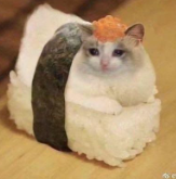 ro6li0's tweet photo. send the cat https://t.co/KLDhXAmLsV