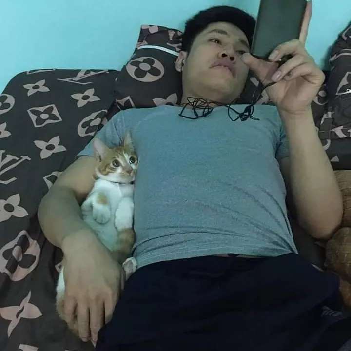 PunchingCat's tweet photo. https://t.co/svXzww57ae