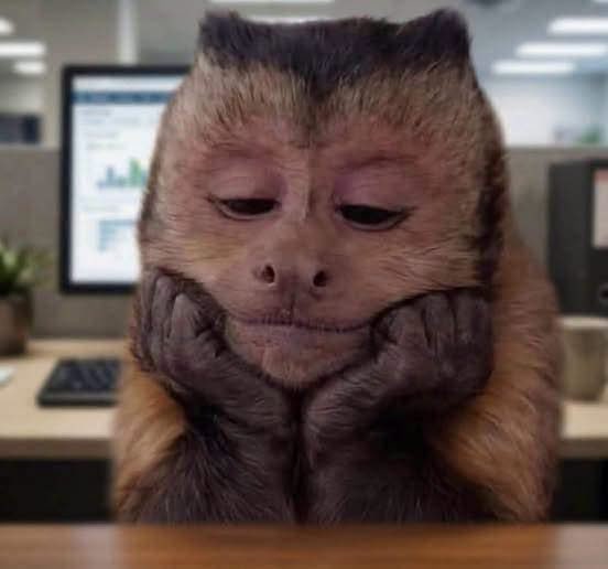 Javisness's tweet photo. -Yo fantaseando en el jale que me corren y me dan 1 millón de liquidación: https://t.co/8NON9UzON9