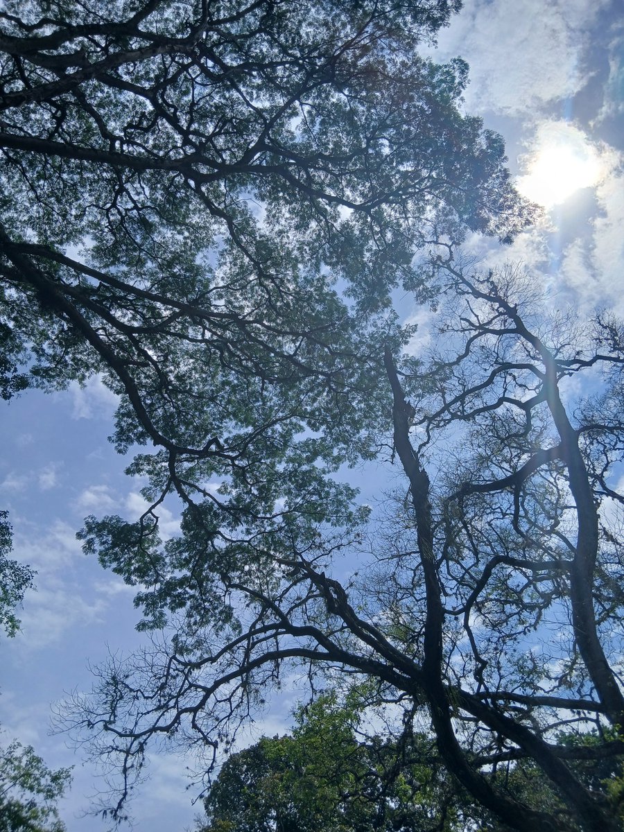 _bluesad_'s tweet photo. 🌳🍂 https://t.co/aw6QyN1kFd