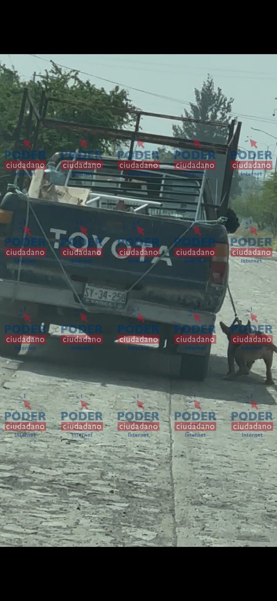 PoderCiudadanoo's tweet photo. #EnBocaDeTodos 🚨 INDIGNANTE DENUNCIA: CAPTAN A PERRITO AMARRADO Y ARRASTRADO POR UNA CAMIONETA EN QUERÉTARO 🐶💔

Nos comparten estas imágenes y video de un presunto caso de maltrato animal ocurrido entre las colonias Morelos y Francisco Villa I.

De acuerdo con el reporte ciudadano, el perrito era llevado sujeto a una camioneta con una cuerda aparentemente demasiado corta, lo que le impedía caminar con normalidad y lo obligaba a ser arrastrado.

⚠️ Las imágenes son fuertes e indignan. Pedimos a las autoridades competentes revisar el caso y actuar para proteger al animal.

Si reconoces al responsable o cuentas con información que permita ubicarlo, repórtalo ante las autoridades de Protección Animal. No normalicemos el maltrato.

📌 ¿Tienes una denuncia? Escríbenos al 4461444405

#MaltratoAnimal #DenunciaCiudadana #Querétaro #ProtecciónAnimal #JusticiaParaLosAnimales #EnBocaDeTodos