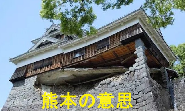 genki2018's tweet photo. 七転び八起き https://t.co/JkqjX91LkK