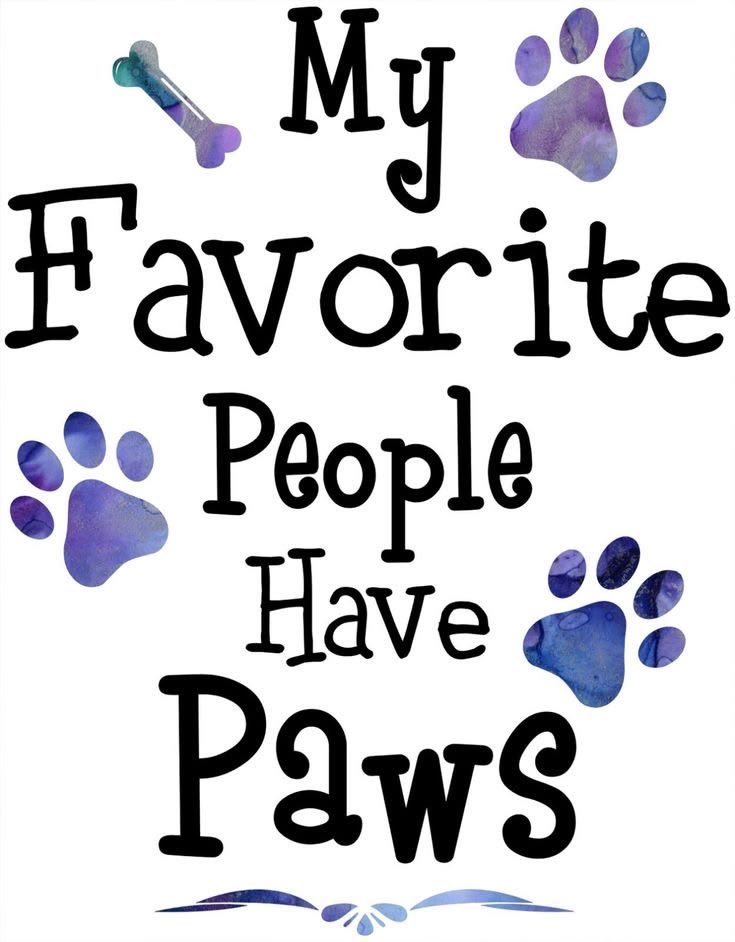 HeelerShep's tweet photo. VERY TRUE … 🐾🩵🔥🐾🩷🔥🐾💜🔥🐾💙🔥🐾💛🔥🐾 https://t.co/CgXEuD4kJC