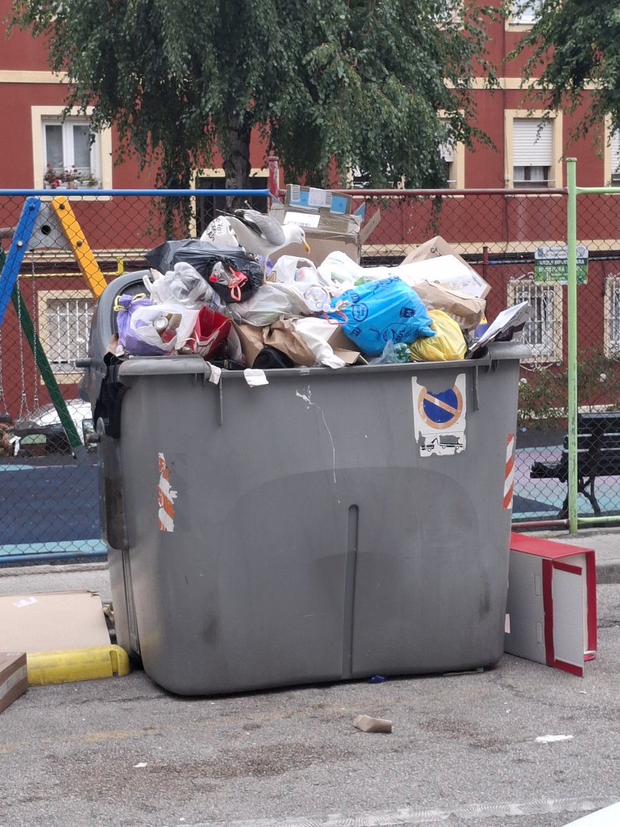 DTrastolillo's tweet photo. @Convaloranadido esto es normal al lado de un parque infantil, cuatro días sin recoger con el calor de ayer llegaba los olores hasta mi casa 😡 ya no solo nos comen las 🐀🐁🐀 si no que las gaviotas una auténtica vergüenza 🤢🤮🤮🤮 https://t.co/nIElLsDf4s