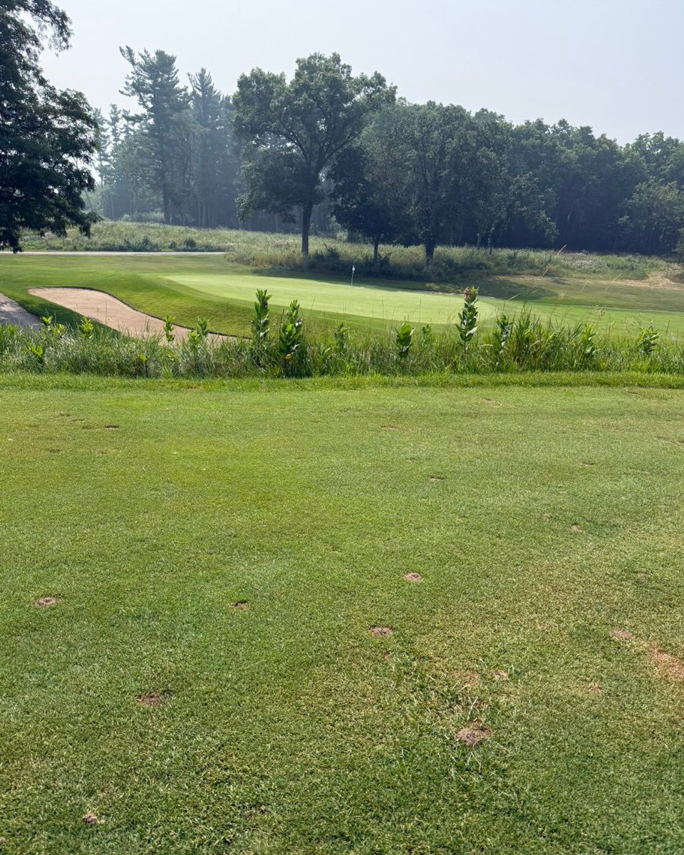 fairwaysdreams's tweet photo. Lawsonia Links. Worth adding to your Wisconsin golf trip. https://t.co/ZPMcKvopw9