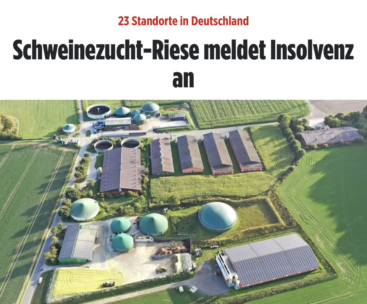 queru_lant's tweet photo. Normal, die Neubürger fressen nur Halal-Rind und Halal-Lamm. Die linksgrüne Energiewende gibt dann den Rest. https://t.co/24JaeEWinx