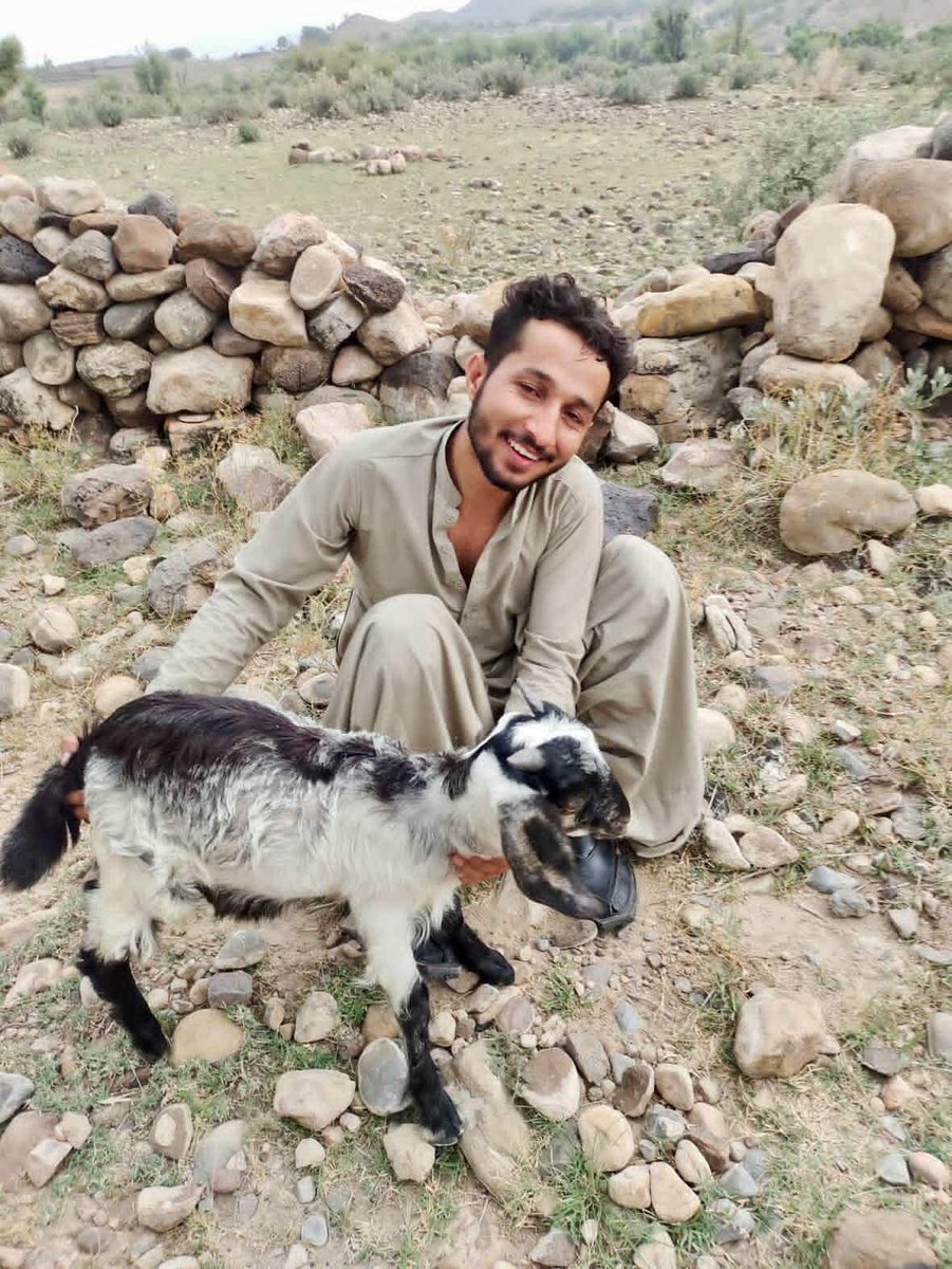 ZimalBaloch_'s tweet photo. Dawood Baloch, son of Pir Mohammad Baloch, is a Civil Engineering graduate from UET Lahore. He was abducted from his home in Dera Ghazi Khan on 2 November 2025, along with his brother.
#ReleaseDawoodBaloch
#SaveBalochStudents https://t.co/eO8tNpqqOi