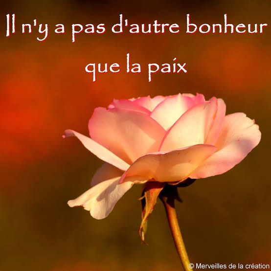 dan_y8554's tweet photo. Ce monde est devenu fou , haineux et hostile . Je veux croire encore en la paix et nous nous devons d être bienveillants plutôt que de choisir la facilité d haïr https://t.co/rzCTNitg3u