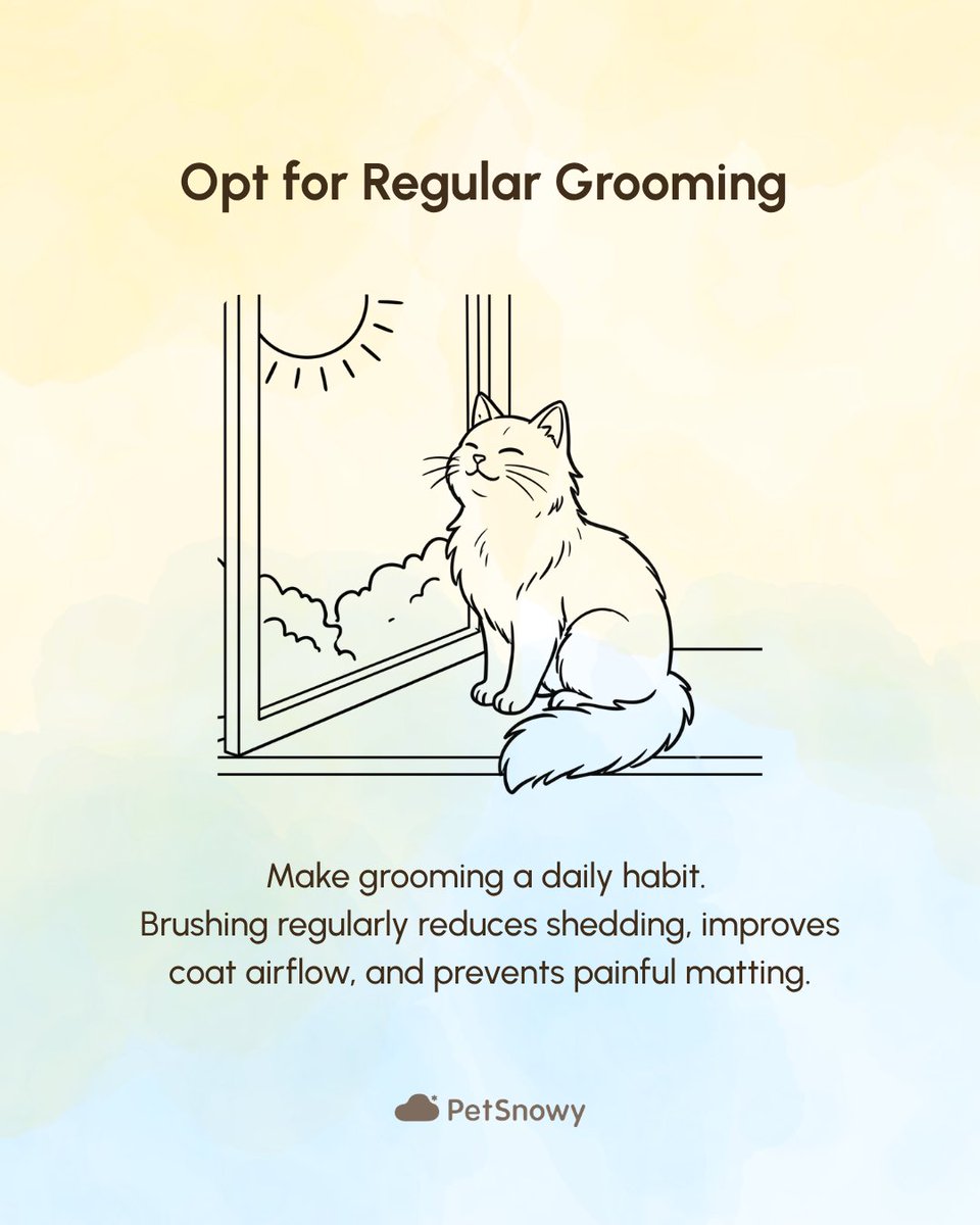 PetSnowy's tweet photo. Quick summer care tips for your cat...
#petsnowy #petcare #summer #petparent #catlovers #pethealth #summerpettips https://t.co/mTpjzPI9XI
