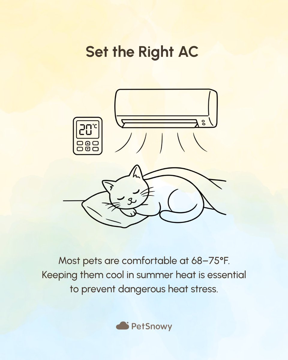 PetSnowy's tweet photo. Quick summer care tips for your cat...
#petsnowy #petcare #summer #petparent #catlovers #pethealth #summerpettips https://t.co/mTpjzPI9XI