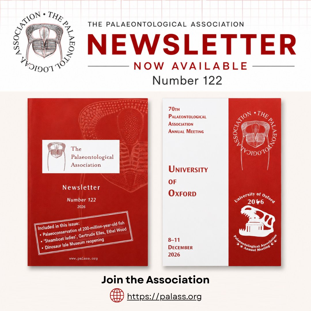 ThePalAss's tweet photo. 🦴 Newsletter No. 122 is here! 📖
🦈 A 200-million-year-old fish
👩‍🔬 The remarkable "Steamboat ladies"
🦖 The reopening of Dinosaur Isle Museum 
🎓 News about our 70th Annual Meeting at the University of Oxford.
🤝 Become a Member and join the PalAss.
#newsletters #palaeontology https://t.co/Qdl239jglY