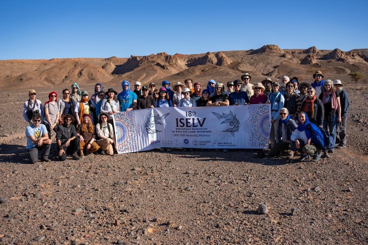 ThePalAss's tweet photo. 🦴 Newsletter No. 122 is here! 📖
🦈 A 200-million-year-old fish
👩‍🔬 The remarkable "Steamboat ladies"
🦖 The reopening of Dinosaur Isle Museum 
🎓 News about our 70th Annual Meeting at the University of Oxford.
🤝 Become a Member and join the PalAss.
#newsletters #palaeontology https://t.co/Qdl239jglY