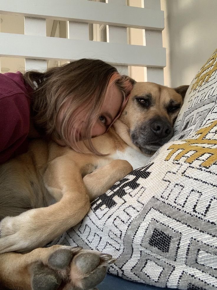 jamilu66's tweet photo. Hello K9 lovers 
#dogknot 
#zoophiletwt
#zootwt 
#jjk242spoilers
Hello K9 lovers
DM on telegram 👇👇👇👇
https://t.co/2tW4p9xuNq

Zangi me 

https://t.co/ymrxJWhssD… https://t.co/Y4MbyOwZZc