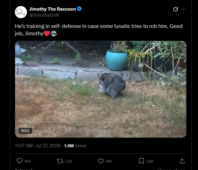 goatOnChainn's tweet photo. The videos of jimothy getting millions of views are not even of him.   

Most of the viral jimothy videos posted are of a short spined raccoon with roaming around but there is a key detail   IT HAS NO TAIL   

jimothy has a tail just like how he was spotted in his original video  Specifically this most recent video posted by the jimothy twitter itself and reposted by many others like Mario Nawfal  but wait. 

in SEPTEMBER 2025 a youtube video was posted of a short spined raccoon with NO TAIL, and in the description of the video it says his name is Danny Devito.   

Danny DeVito is the real viral king and should flip jimothy.

https://t.co/04ntkYHaWR