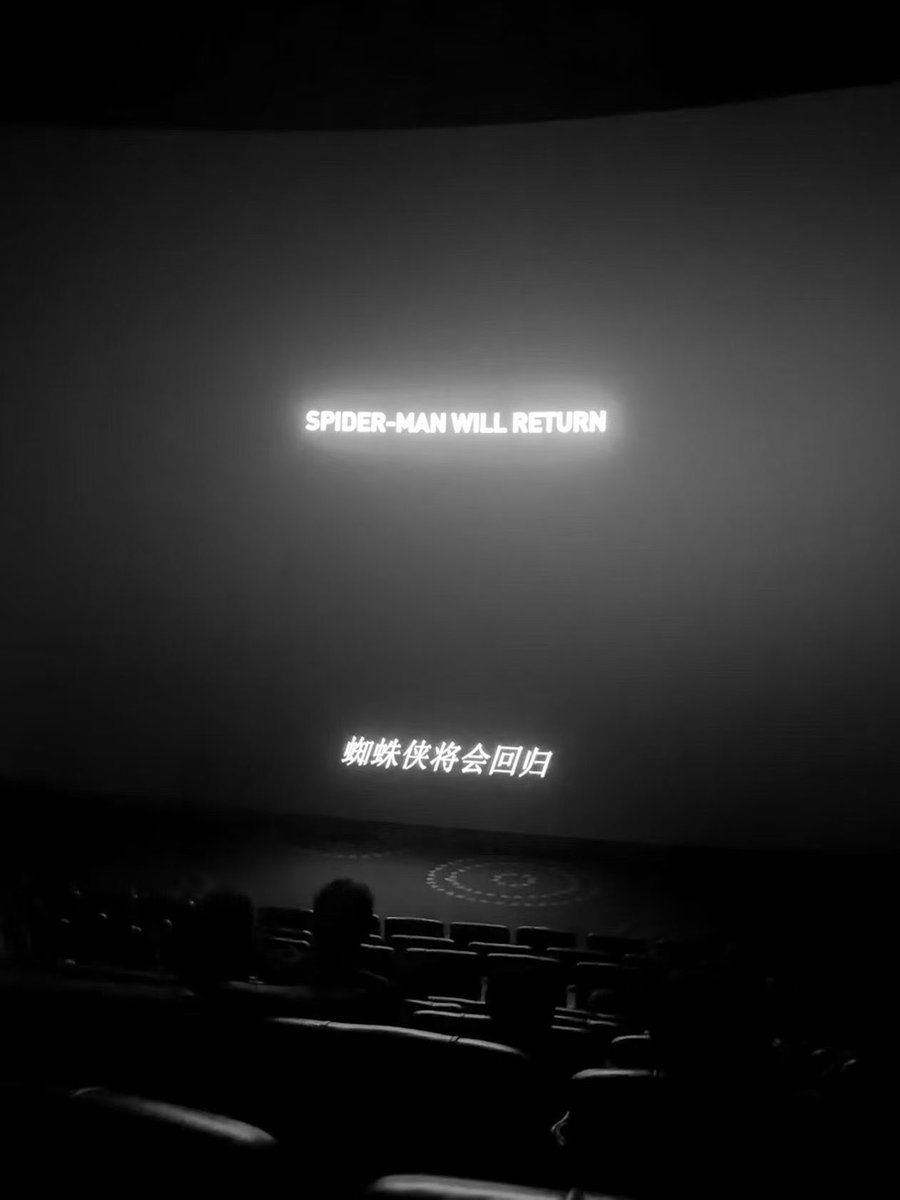 YYXHALXY123's tweet photo. 🕸️Spider-Man https://t.co/iZBFyba7io