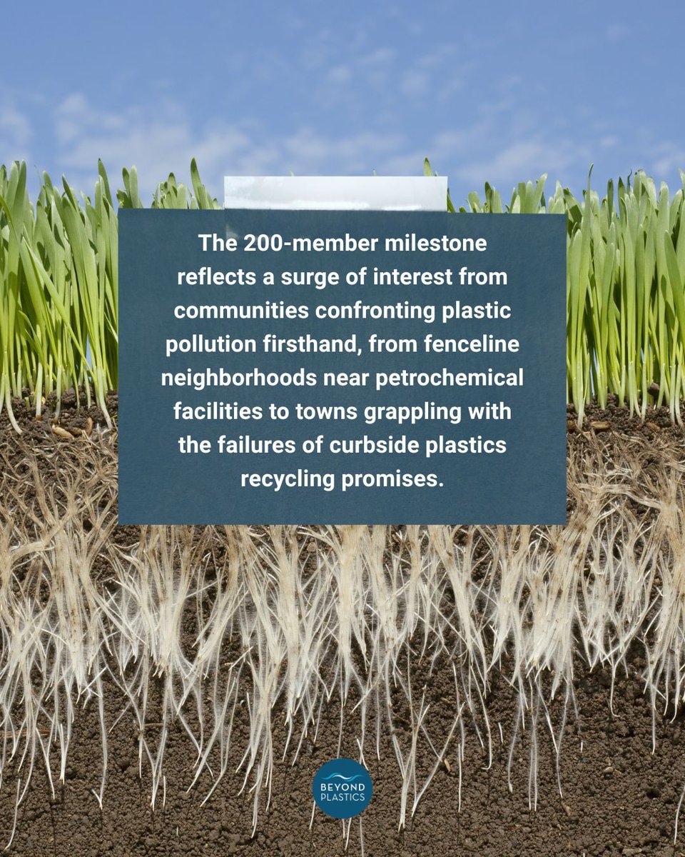 PlasticsBeyond's tweet photo. Major milestone alert: the Beyond Plastics Network now has 200 Local Groups and Affiliates nationwide! 🎉

Launched in 2022, the Beyond Plastics Network provides local groups with training, tools, and a national platform to organize around shared goals: reducing single-use plastic, holding corporations accountable for their pollution and false recycling claims, and advancing local and state legislation like the Packaging Reduction and Recycling Infrastructure Act in New York State.

Thank you to every one of our Local Groups and Affiliates who made this milestone possible. We're grateful to be in community with you as we work together to end plastic pollution.