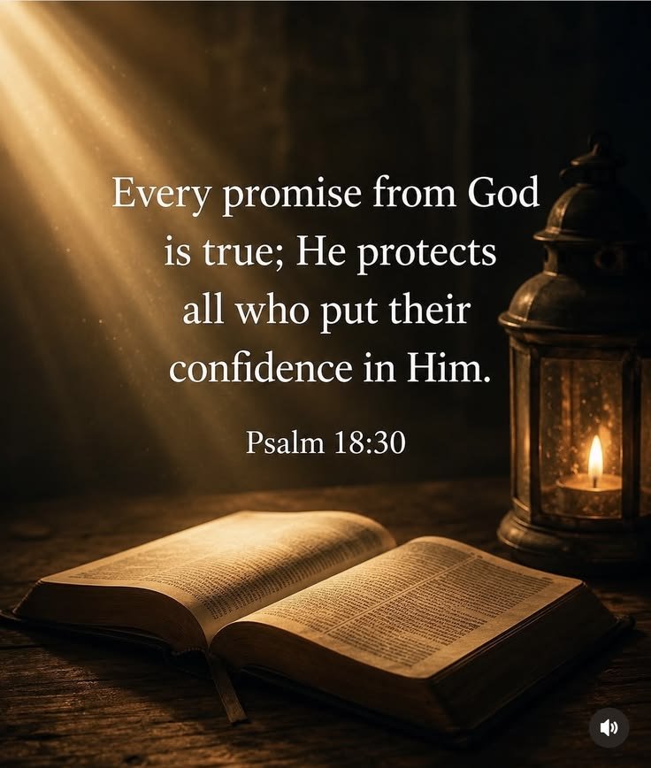 John_Matthew_T's tweet photo. Psalm 18:30 https://t.co/W2W3PPIaTp
