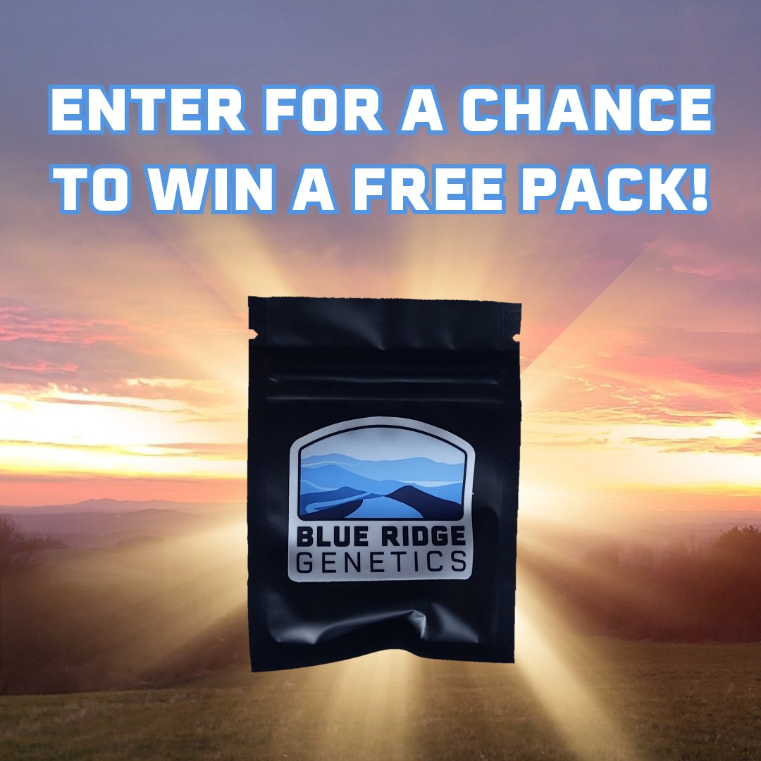 BlueRidGenetics's tweet photo. ‼️SEED PACK GIVEAWAY‼️
 
To enter you must:
 
✅ Follow @BlueRidGenetics
 
🔃 Repost this post

🏷️ Tag a friend that grows who needs fire genetics!

🌱 Actively post grow content. (No contest only accounts)

🪪 21+ Only. 

Winner picks ANY pack on the website for FREE + extra goodies!   

Winner drawn in 7 days at 4:20pm EST  

Good Luck, Growers!!! ✌️🤠