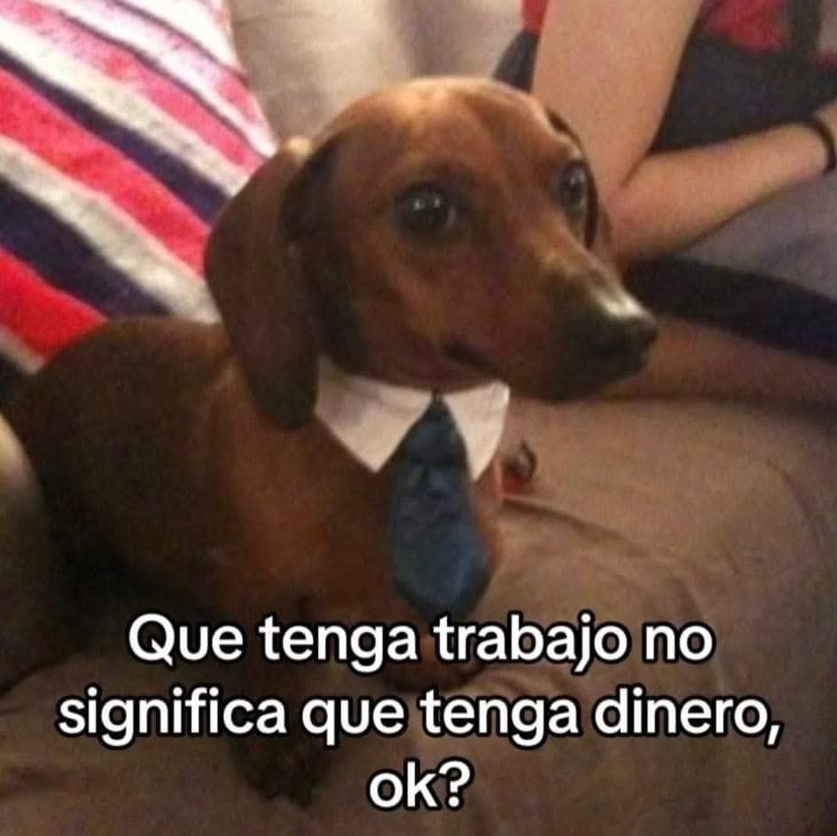 Animalesaprieto's tweet photo. https://t.co/i4szw1E7vq