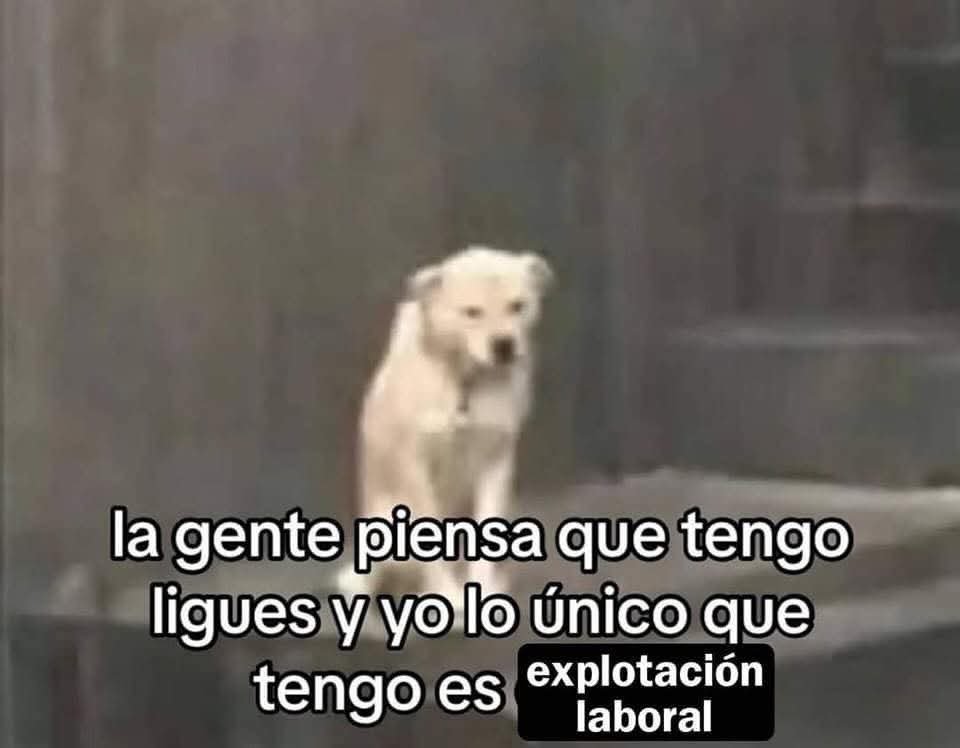 Animalesaprieto's tweet photo. https://t.co/m8ZdRanB8t