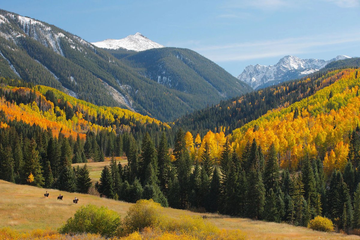 landreport's tweet photo. Knapp Ranch
Colorado | 287 Acres | $66,500,000

Widely regarded as one of the area’s most iconic ranches, Knapp Ranch is now being introduced to the market for the very first time after decades of private stewardship by Bud Knapp and the Knapp Family. 

https://t.co/5JJIeYameu https://t.co/WI9Rndu5yz