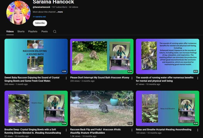 goatOnChainn's tweet photo. The videos of jimothy getting millions of views are not even of him.   

Most of the viral jimothy videos posted are of a short spined raccoon with roaming around but there is a key detail   IT HAS NO TAIL   

jimothy has a tail just like how he was spotted in his original video  Specifically this most recent video posted by the jimothy twitter itself and reposted by many others like Mario Nawfal  but wait. 

in SEPTEMBER 2025 a youtube video was posted of a short spined raccoon with NO TAIL, and in the description of the video it says his name is Danny Devito.   

Danny DeVito is the real viral king and should flip jimothy.

https://t.co/04ntkYHaWR