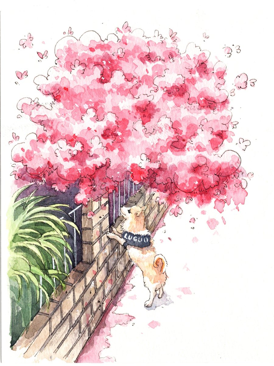 RomaGoodenrku1's tweet photo. Learning watercolor for the first time Small steps bring big fun—grab a cheap set and paint your houseplant this weekend! https://t.co/A7KiklKbWJ