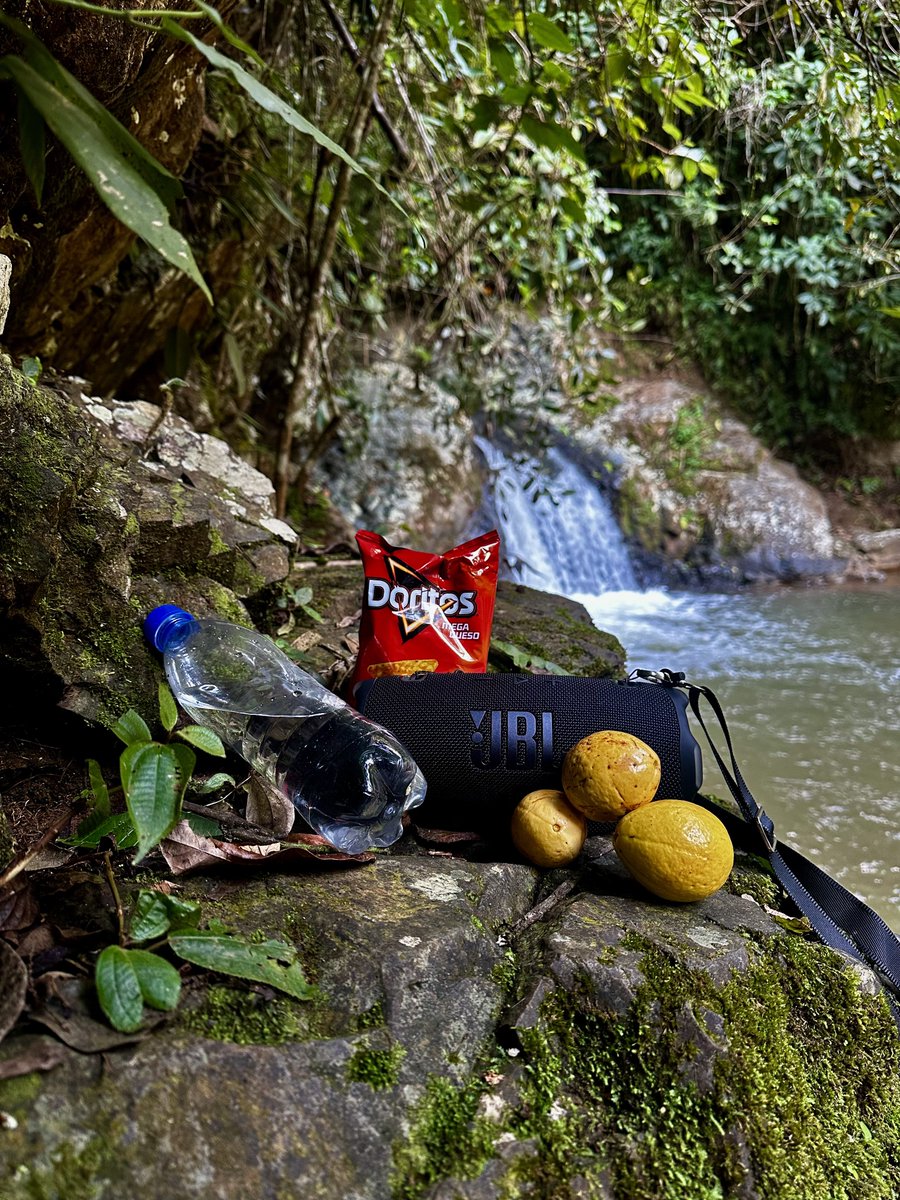 yeiirico's tweet photo. SABOR · PARCHE · PRESENCIA
#ModoDorito #Sabor #Parche #Presencia https://t.co/Ml2a69ow3r