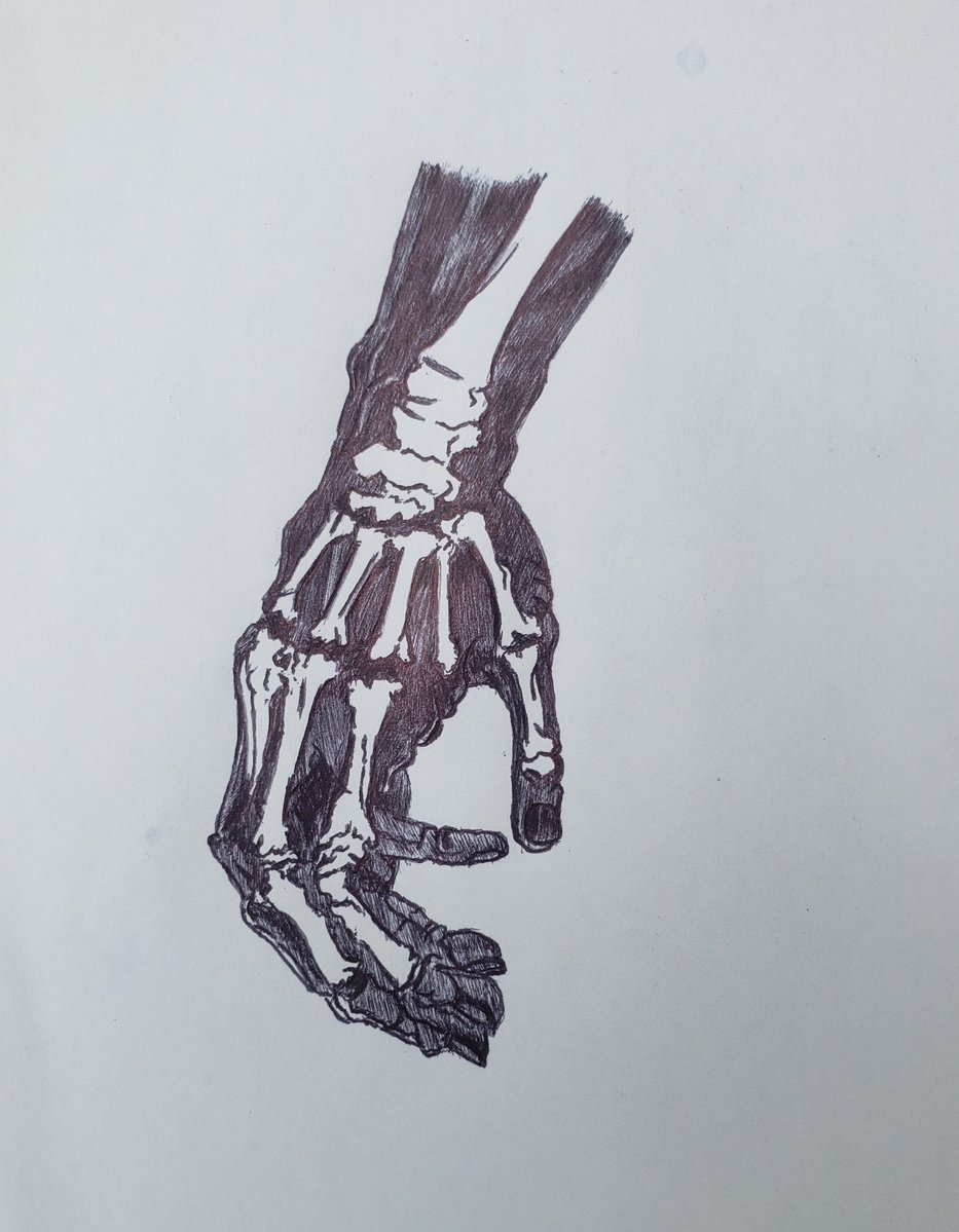 Hezekokz's tweet photo. DAY 24 – X-RAY
#tafanniversarychallenge 
@TAFship https://t.co/FlJL3EiAWq