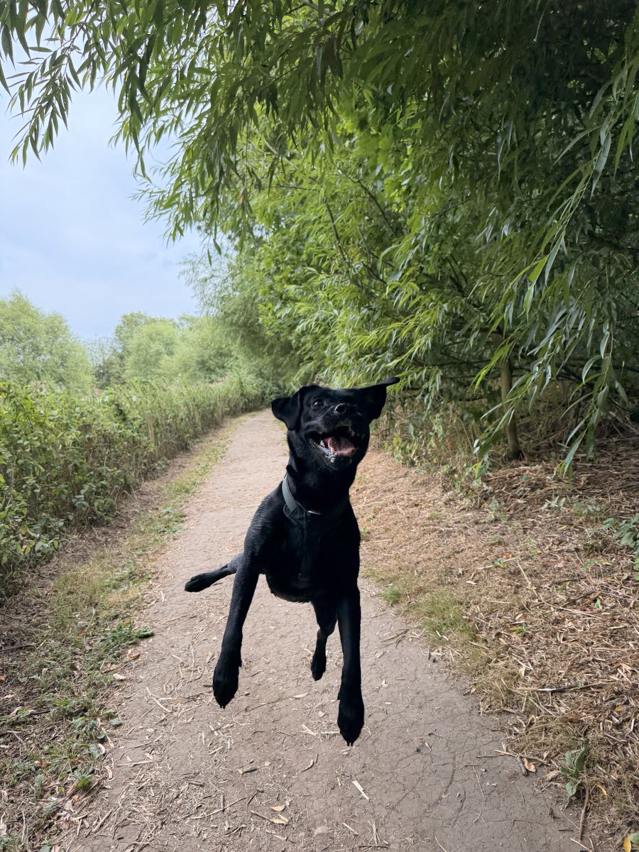 kwoade's tweet photo. Believe it or not she does occasionally land. https://t.co/XUOUOEQU4E