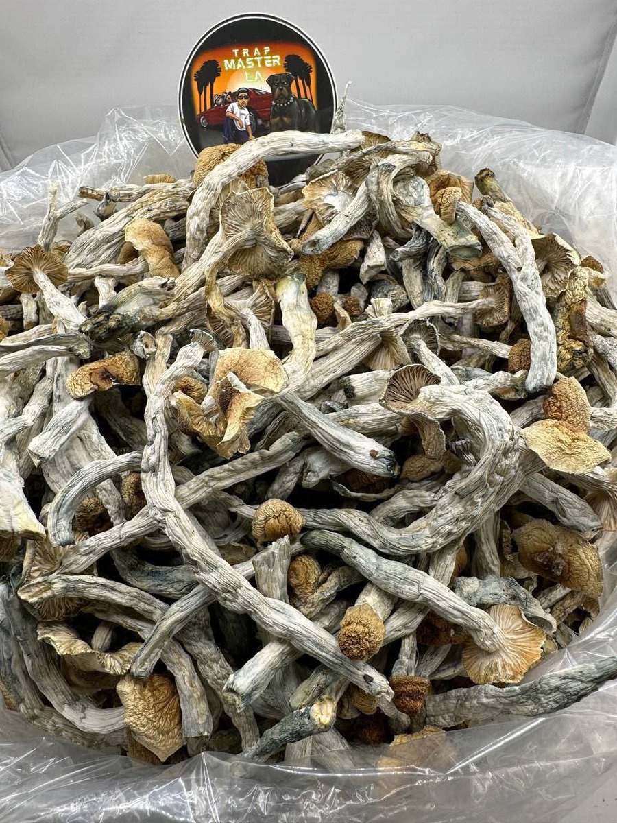 goodluck4ever's tweet photo. Get top-shelf exotic weed and premium buds, plus a wide range of weed vape, disposable carts, edibles, hash, rosins, and pre-rolls. Active plug available in" Honolulu, Los Angeles, Vancouver, Seattle, Toronto, Chicago, New York, Mexico City, Guatemala City, Panama City, Bogotá. https://t.co/rYCPs0rNKf