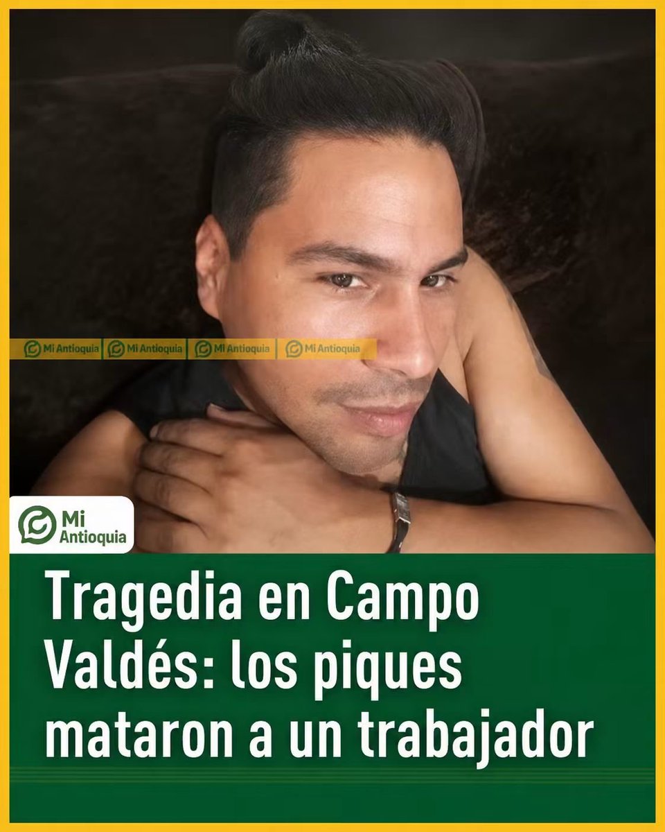 jorgeprotesta's tweet photo. En Medellín,unos tipos haciendo piques en sus motos mataron a una persona q estaba trabajando en su moto,y para rematar se le robaron la moto al difunto para  no dejar pruebas.Los implicados son,presuntamente,de una banda delincuencial del barrio campo Valdés. https://t.co/Rs4p6o2eUM