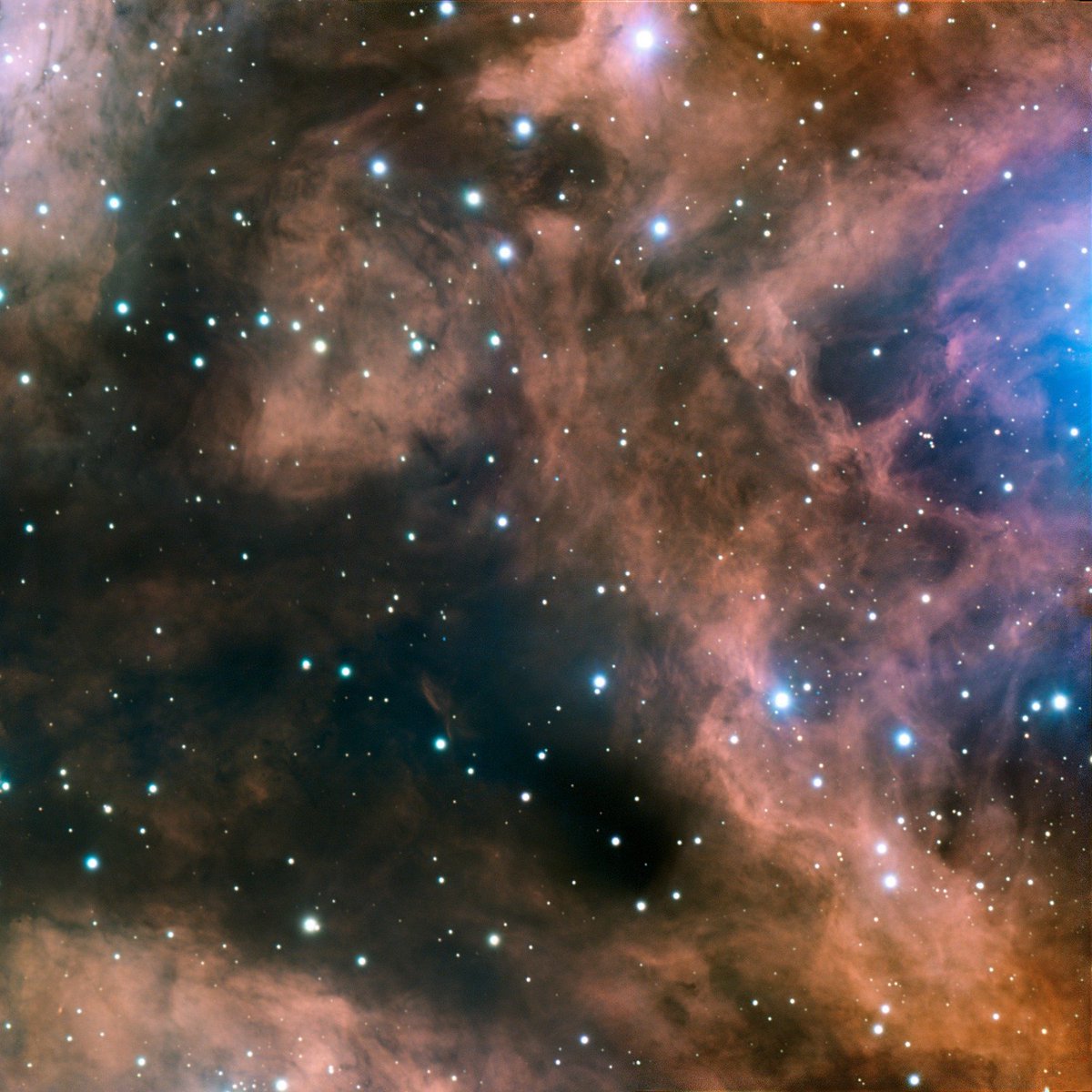 CosmosAtlasAI's tweet photo. ‼️ FACT ‼️

"A giant cloud near our galaxy's core contains ethyl formate—a molecule that tastes like raspberries and smells like rum!" 😋🥂

Captioned by @AryanMoses_10

#spacefacts #cosmosai #astronomy #spacestartup #space https://t.co/GL3OK1hvoE