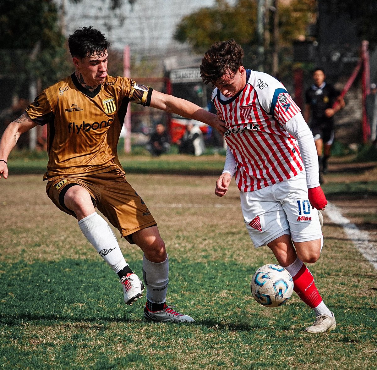 clublosandes's tweet photo. 𝙀𝙢𝙥𝙖𝙩𝙚 𝙚𝙣 𝙚𝙡 𝙋𝙧𝙚𝙙𝙞𝙤

Sin goles, la reserva empató frente a Almirante Brown en el Predio “Nene” Díaz. 

🟥 Facundo Sánchez (45’ PT) 

📋 𝗙𝗼𝗿𝗺𝗮𝗰𝗶𝗼́𝗻 𝗶𝗻𝗶𝗰𝗶𝗮𝗹: Marko Brey; Alan Melognio, Maximiliano Laguna, Germán Ibarra, Thiago Cicerone; Thiago Acuña, Dylan Verón, Uriel Soto Maior; Facundo Sánchez; Tobías Modlin y Benjamin Garay

📋𝗦𝘂𝗽𝗹𝗲𝗻𝘁𝗲𝘀: Lisandro Barrios, Aaron Paiva, Thiago Retamoso, Joaquín Saint, Lautaro Sarchione, David López, Thiago Acuña, Alexis González, Juan Ruiz Díaz y Bautista Griffith. 

🔜 El próximo partido será con All Boys en condición de visitante con día y horario a confirmar. 

¡𝙑𝙖𝙢𝙤𝙨 𝙡𝙤𝙨 𝙥𝙞𝙗𝙚𝙨! 🇦🇹