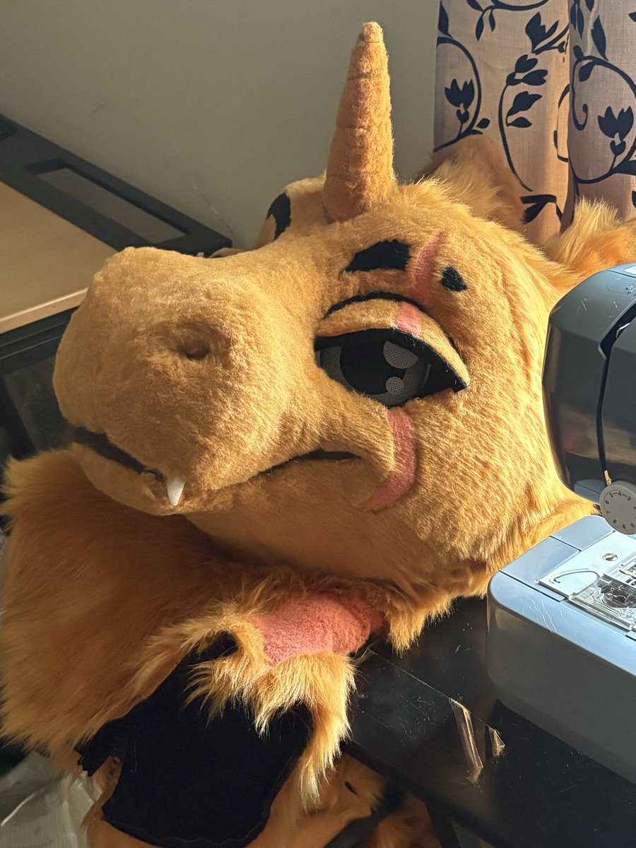 _weareelite_'s tweet photo. His head is nearly complete!
#furry #fursuit https://t.co/ZPSR6gn1q7
