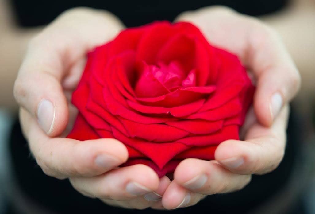 alfafit_'s tweet photo. 11:11 👑♥️🌷🫶🏻🍀🍀🍀🍀✨✨✨✨ https://t.co/fdOXfJsqBD