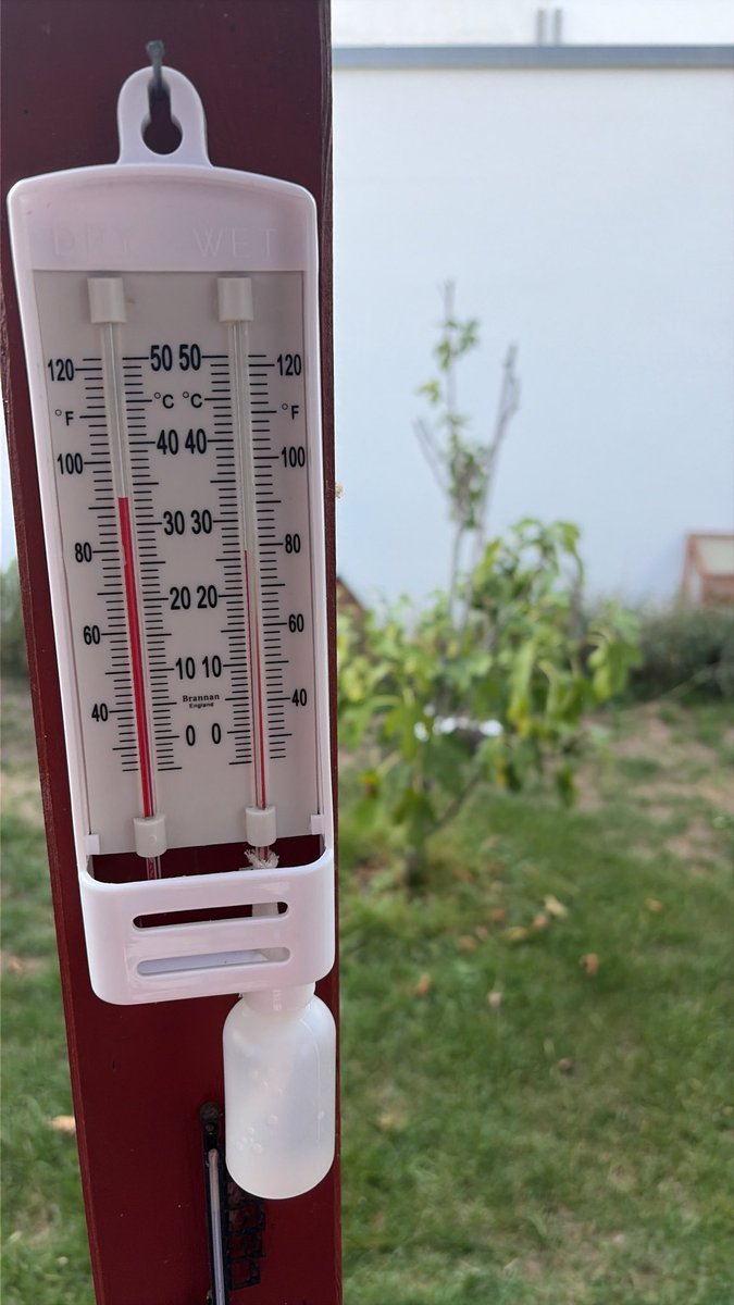 Spruchkoerper's tweet photo. 2/2
Bei dem Projekt hat sich dann gezeigt, dass die Schule a) kein #Psychrometer hat und b) die drei Physiklehrer das Messinstrument nicht kannten.
Wir sind sowieso verloren. Ich habe jetzt so ein Ding. https://t.co/Zm1rFzmoy6