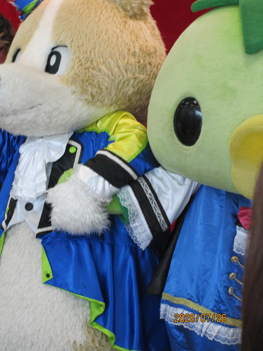 keroro0274's tweet photo. ガシッ 🤝✨
つないだ手は離さない
(♥ω♥*)ｷｭﾝｷｭﾝ♡*゜
 #OnedayPrince  #1DP  #こーた
 #じゅっけんカッパのコタロウ https://t.co/CtAdQTWzxg