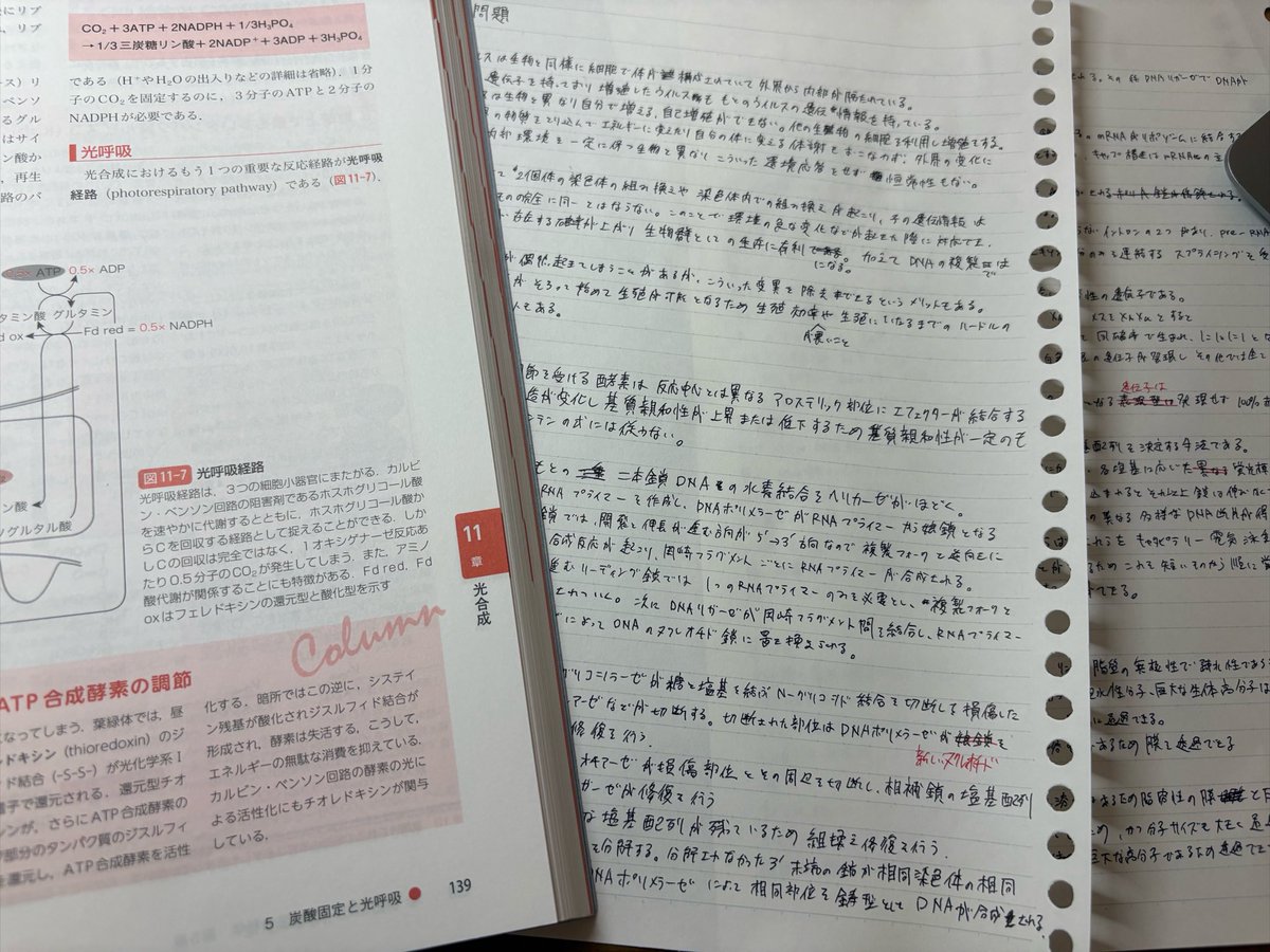 Yjrtp8's tweet photo. まだテスト終わらないよー、頑張ってる😿 https://t.co/AEKe8M9H9i