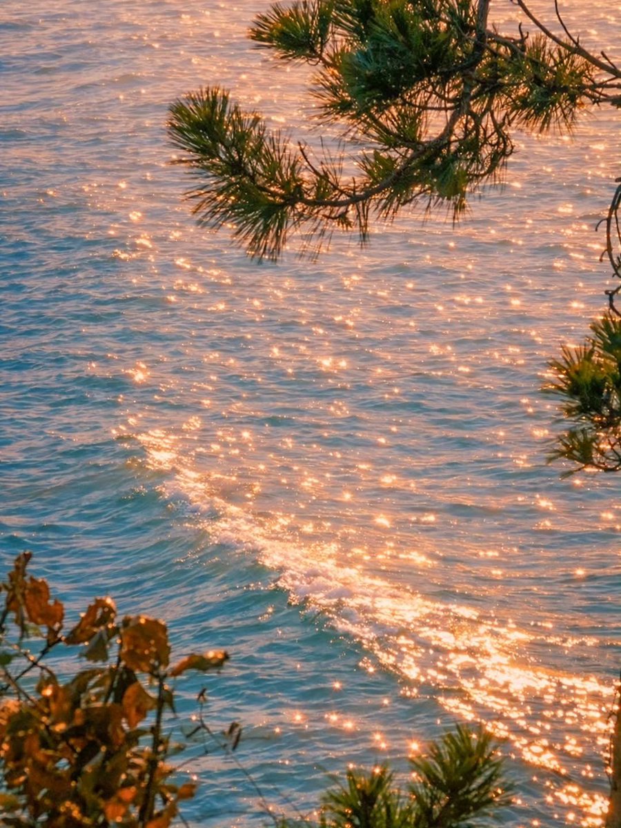 purelivn's tweet photo. when the sun makes the water glitter https://t.co/LeO74sktdu