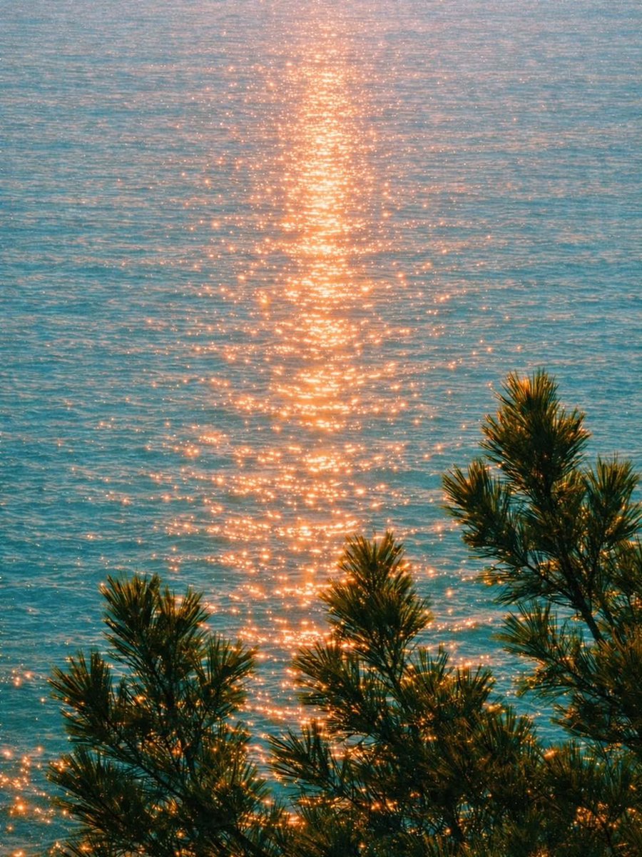 purelivn's tweet photo. when the sun makes the water glitter https://t.co/LeO74sktdu