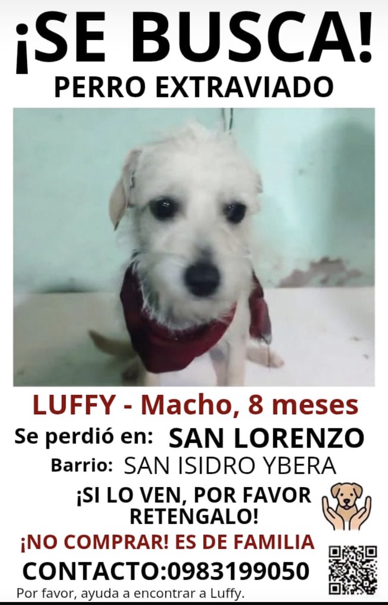 salvandohocicos's tweet photo. Xfa difundir https://t.co/EWAXx0SlSn
