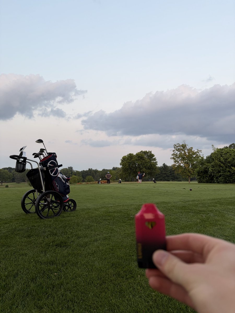 PhillipHewitt89's tweet photo. Great day for golf with @LoganGhostMode !! taking turns hitting blinks on the penny!! brings me back to the glory days when we would smoke reggie before yoga! https://t.co/VmMaoRnxSI