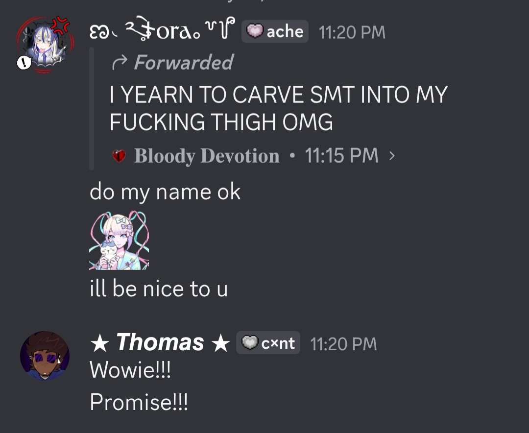 Totally_thomass's tweet photo. 1. MOD, TORA

Last night, I was extremely unwell mentally. And had went to a vent channel in this server to vent about wanting to cut myself. This person, who's over 18, dmed me this. And responded saying it was "getting them off" when I responded. https://t.co/MZR0QNnlxK
