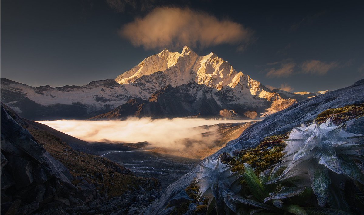 TSvetlanab's tweet photo. Happy Humpday Twitterland🐺💞
“The mountains are a reminder of the power and majesty of nature, and of our own smallness in the face of it.”
― Ajaz Ahmad Khawaja
#OurWorld
#Nature #NaturePhotography not mine https://t.co/966sMK7aZ4