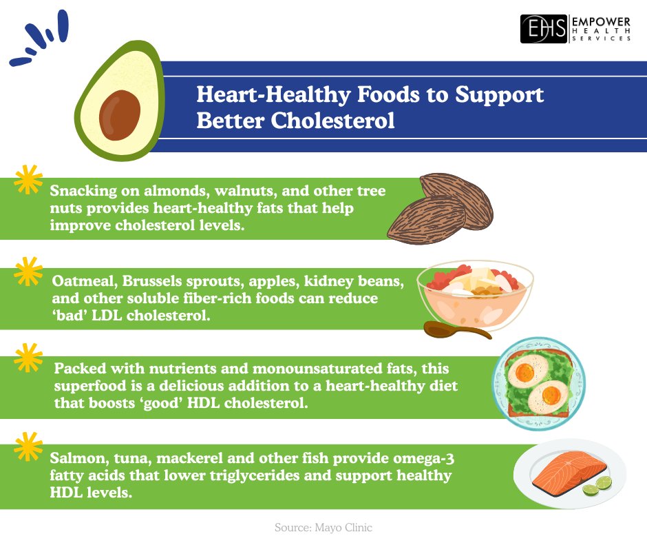 Empower_Health_'s tweet photo. Healthy #cholesterol starts with daily habits. 🥑 Fueling your body with fiber and healthy fats is one of the most effective ways to lower LDL levels and boost HDL cholesterol, one delicious bite at a time: https://t.co/r7F3JIwP7N https://t.co/GaI0mFDNdn